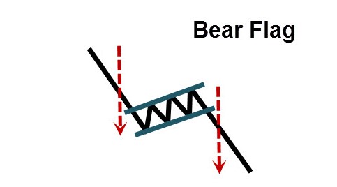 bearf.jpg