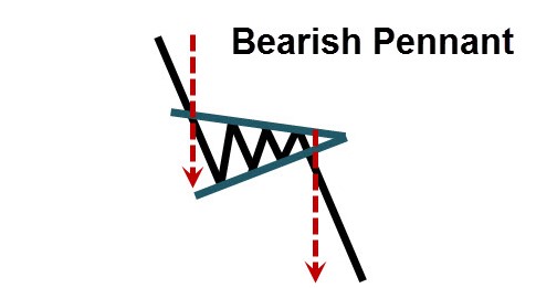 bearp.jpg